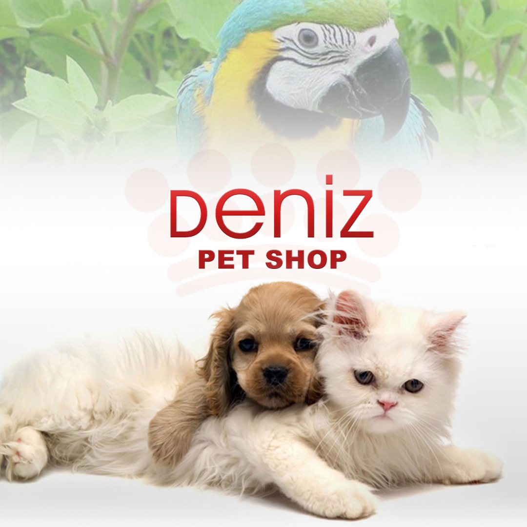 Deniz Pet Shop Eryaman