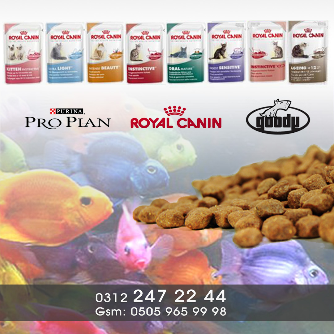 Deniz Pet Shop Eryaman