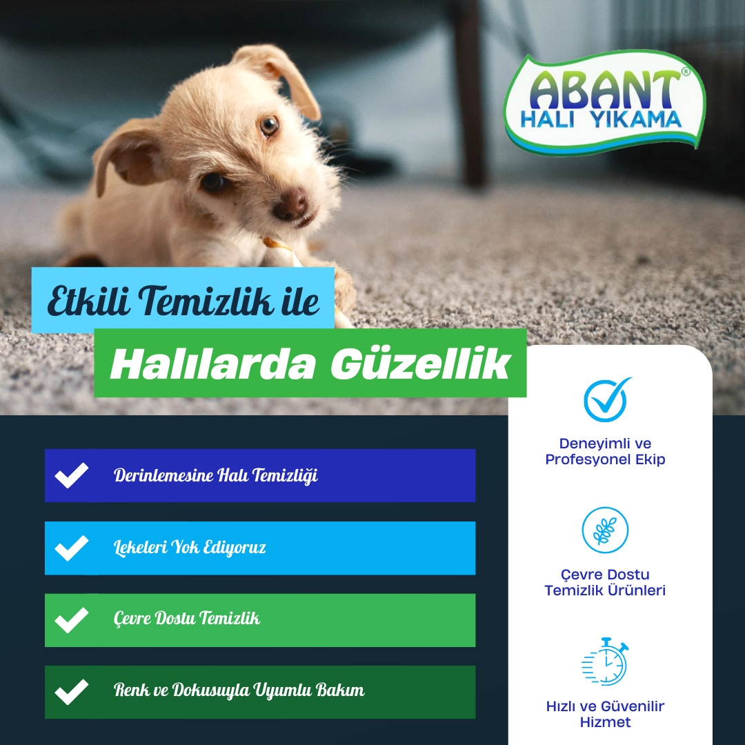 Eryaman Abant Halı Yıkama, Eryaman Halı Yıkama, Halı Yıkama Fabrikası