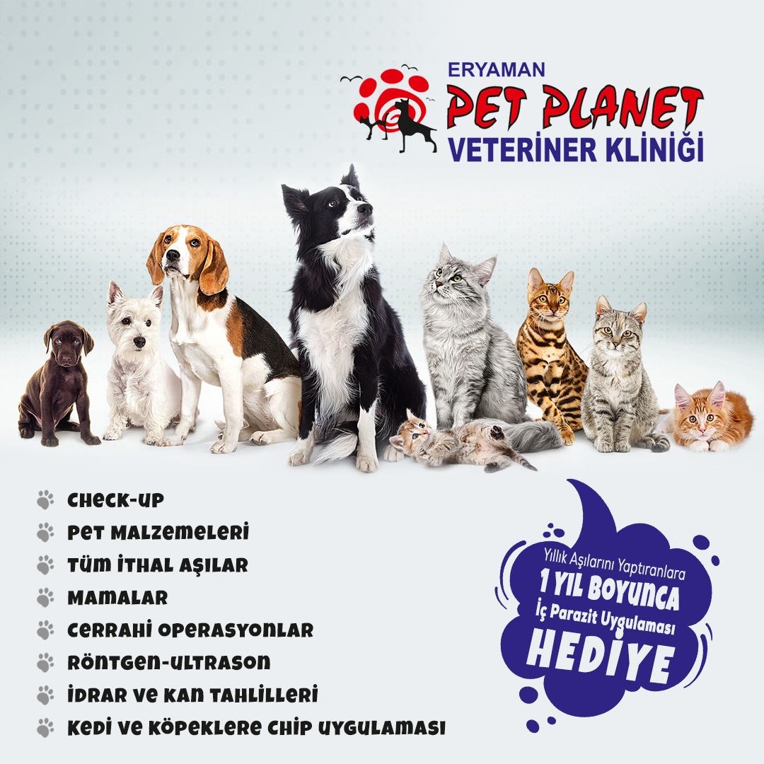 Pet Planet Veteriner Klinigi Eryaman